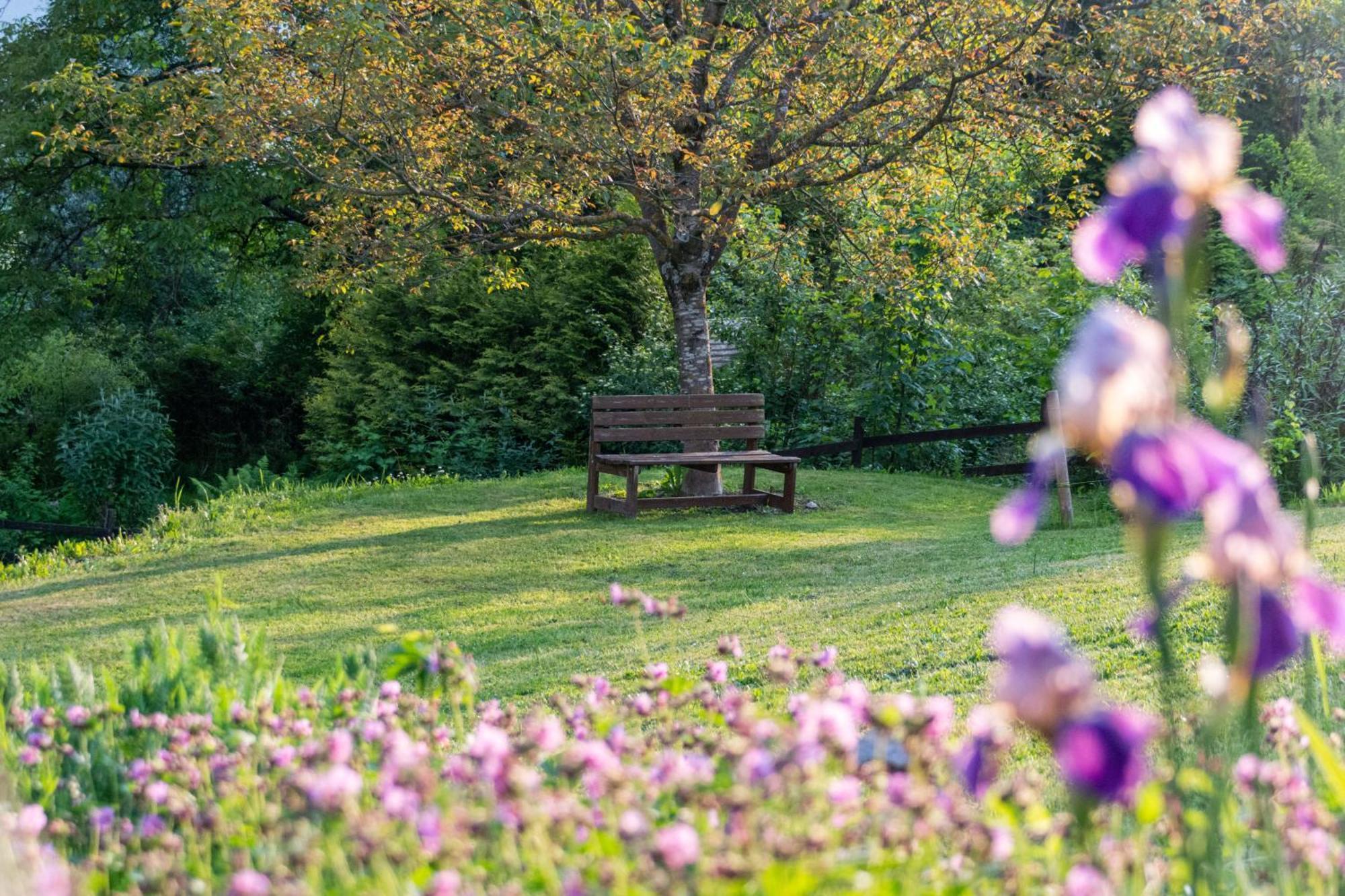 Nötsch Gartenlodge Auszeit מראה חיצוני תמונה